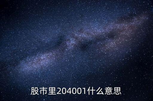 204001是什么股票，204001是什么股票