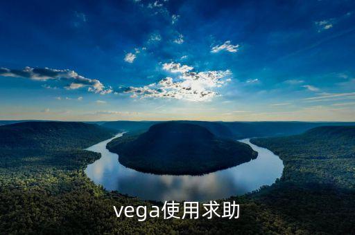 vega使用求助