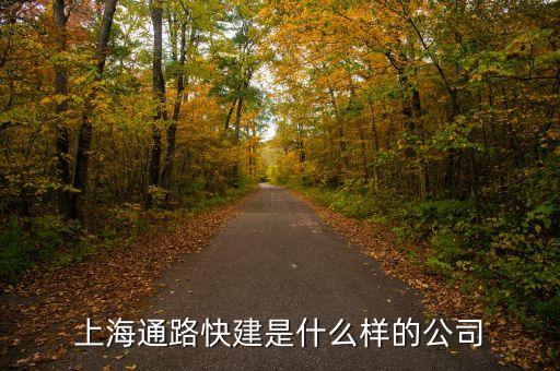 上海通路快建是什么樣的公司