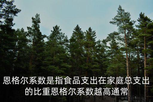 什么是恩格爾系數(shù)法，什么是恩戈?duì)栂禂?shù)