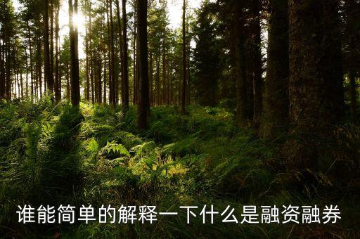 誰能簡單的解釋一下什么是融資融券