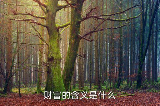 挖掘財富什么意思，什么財富填詞語