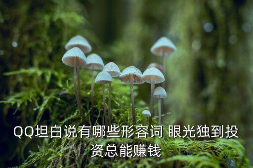 QQ坦白說(shuō)有哪些形容詞 眼光獨(dú)到投資總能賺錢(qián)