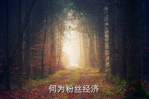 網(wǎng)紅經(jīng)濟(jì)是什么意思，網(wǎng)絡(luò)之星經(jīng)濟(jì)是什么意思