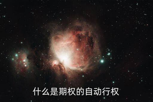 自主行權是什么意思，公司第一期股票期權激勵計劃首次授予股票期權第三個行權期行權方