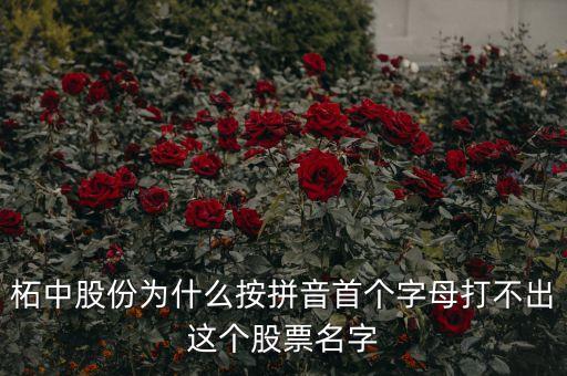 柘中股份為什么按拼音首個字母打不出這個股票名字