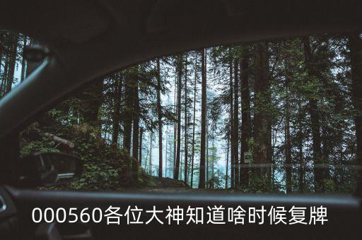 000560各位大神知道啥時候復牌