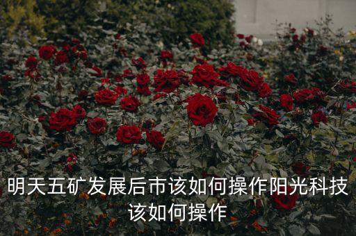 五礦發(fā)展屬于什么板塊，五礦集團(tuán)是哪一家上市公司