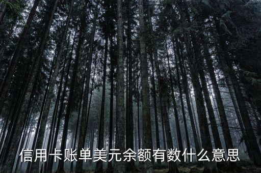 銀行存款的明細(xì)是美元是什么意思，銀行存單上美元符號(hào)是什么