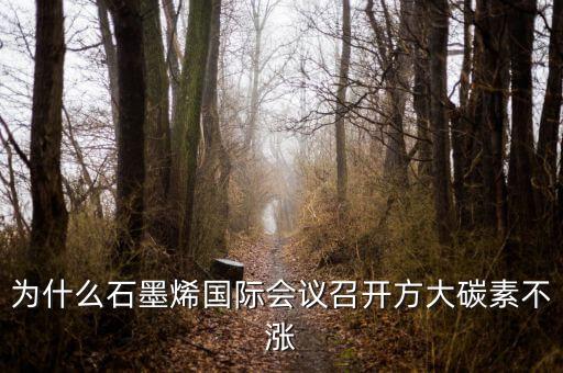 炭素與石墨烯是什么關(guān)系，石墨烯是有碳原子構(gòu)成的單層片狀的新材料可由石墨剝離而成具有