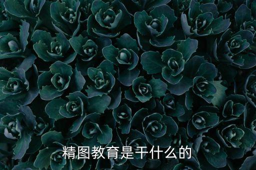 廈門精圖主要做什么，廈門精碼是做什么的