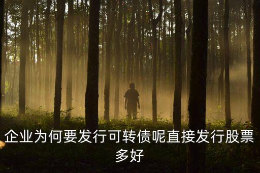 為什么發(fā)可轉(zhuǎn)債，什么是發(fā)可轉(zhuǎn)債