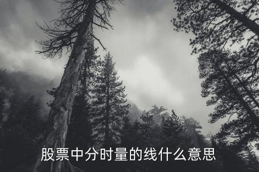 股票中分時量的線什么意思