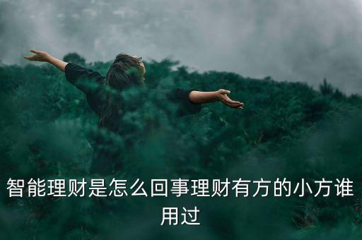 智能理財是怎么回事理財有方的小方誰用過