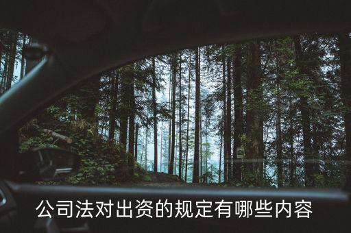 什么是出資規(guī)則，什么是出資額