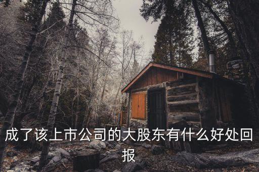 做大股東有什么好處，大股東有什么好處