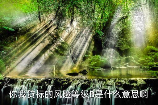 你我貸標(biāo)的風(fēng)險(xiǎn)等級B是什么意思啊