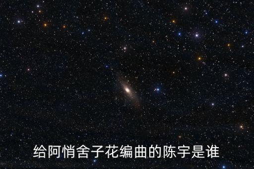 陳宇是誰(shuí)什么什么，給阿悄舍子花編曲的陳宇是誰(shuí)