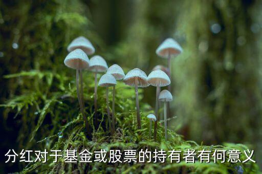 基金分紅有什么用，分紅對(duì)于基金或股票的持有者有何意義