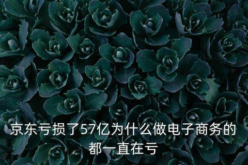 京東虧損了57億為什么做電子商務的都一直在虧