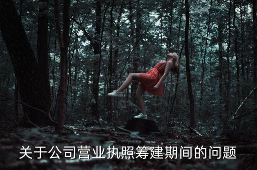 關(guān)于公司營(yíng)業(yè)執(zhí)照籌建期間的問(wèn)題