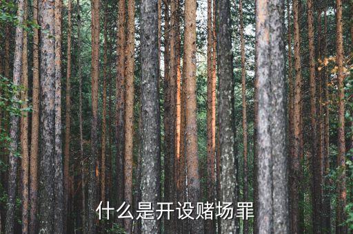 什么是開設(shè)賭場(chǎng)罪