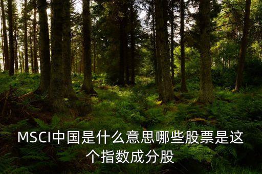 MSCI中國是什么意思哪些股票是這個指數(shù)成分股
