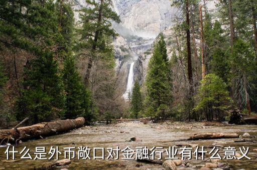 外匯敞口是什么意思，什么是外幣敞口對金融行業(yè)有什么意義