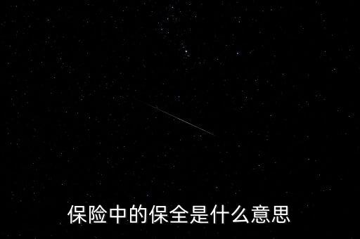 保險(xiǎn)保全是什么，保險(xiǎn)中的保全是什么意思