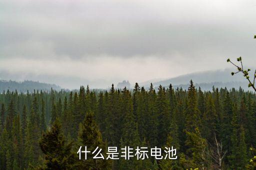 什么是非標電池