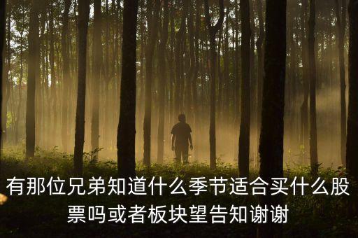 秋天什么股，秋季什么板塊股票好