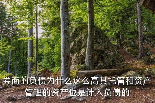 券商的負債為什么這么高其托管和資產(chǎn)管理的資產(chǎn)也是計入負債的
