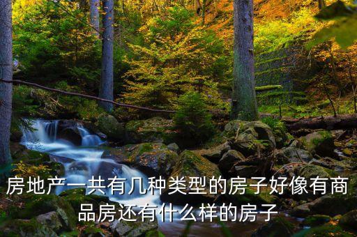房地產一共有幾種類型的房子好像有商品房還有什么樣的房子
