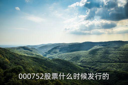 瓏玲股份什么時(shí)候上市，000752股票什么時(shí)候發(fā)行的