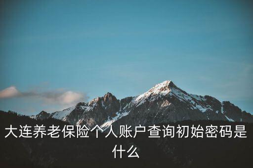 社保查詢個(gè)人賬戶查詢密碼是什么，社保卡查詢 初始密碼是多少