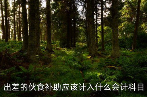 出差餐費(fèi)補(bǔ)貼計(jì)入什么科目，出差補(bǔ)貼計(jì)入什么科目
