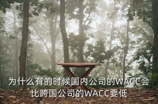 為什么有的時(shí)候國(guó)內(nèi)公司的WACC會(huì)比跨國(guó)公司的WACC要低