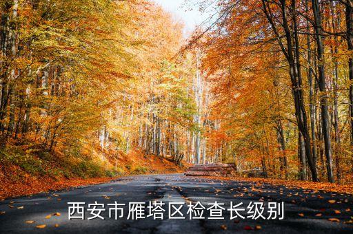西安市正局級是什么級別，碑林分局局長級別是什么級別