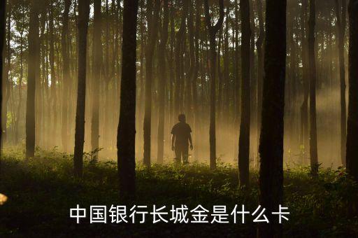 中國銀行長城金是什么卡