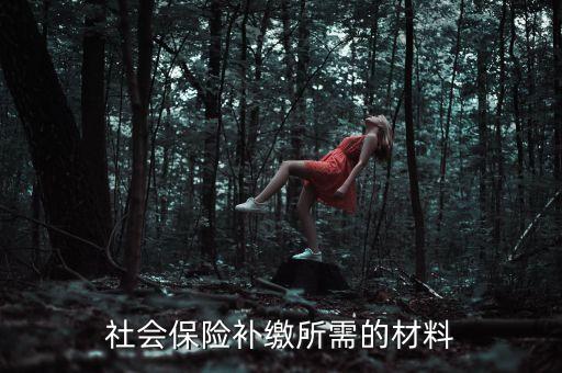 社會保險補繳所需的材料