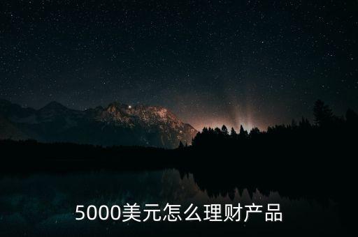 5000美元怎么理財(cái)產(chǎn)品