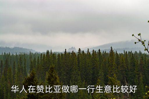 贊比亞適合做什么貿(mào)易，納米比亞和贊比亞賣什么東西又好又便宜呢