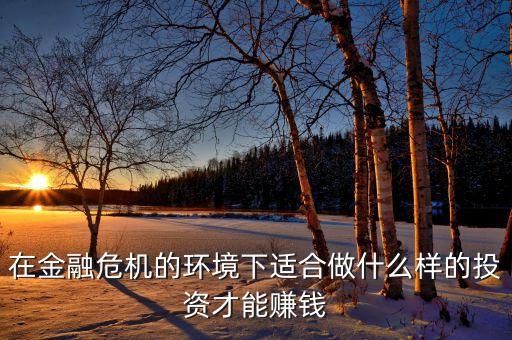 金融危機(jī)投資什么，金融危機(jī)中投資什么能賺錢