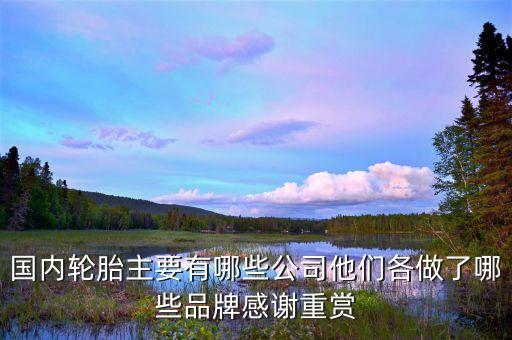 國內輪胎主要有哪些公司他們各做了哪些品牌感謝重賞