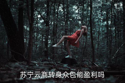 蘇寧眾包什么時候上線，蘇寧云商轉(zhuǎn)身眾包能盈利嗎