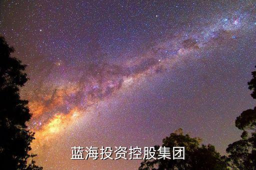 藍(lán)海投資控股集團(tuán)