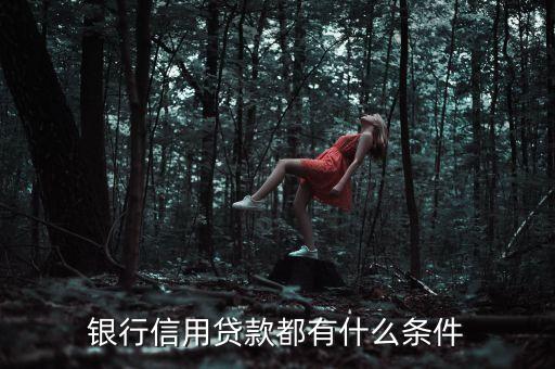 銀行信用貸款都有什么條件