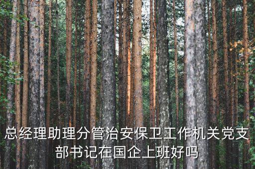 國企書記干什么的，總經(jīng)理助理分管治安保衛(wèi)工作機關(guān)黨支部書記在國企上班好嗎