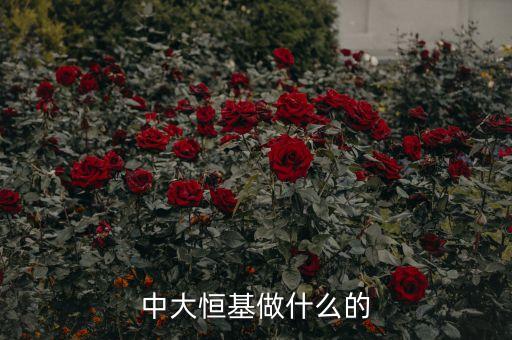 中大恒基做什么的
