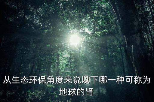 從生態(tài)環(huán)保角度來(lái)說(shuō)以下哪一種可稱為地球的腎